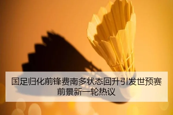 国足归化前锋费南多状态回升引发世预赛前景新一轮热议